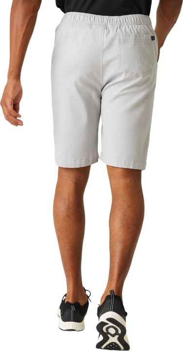 Actual product image Regatta Mens Aldan Chino Shorts (32)