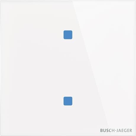 Image du produit Busch-Jaeger TB/U2.4.11-CG