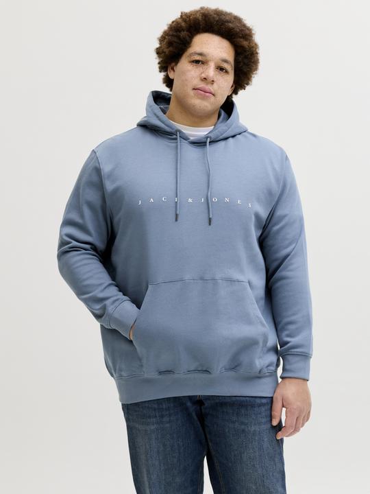 Produktbild Jack & Jones Jjestar Jj Sweat Hood Noos Pls