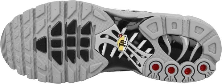 Image du produit Nike Air Max Plus (45)