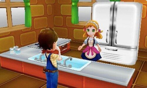 Produktbild Nintendo Harvest Moon: Skytree Village (3DS)