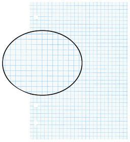 Actual product image Biella Insert sheets