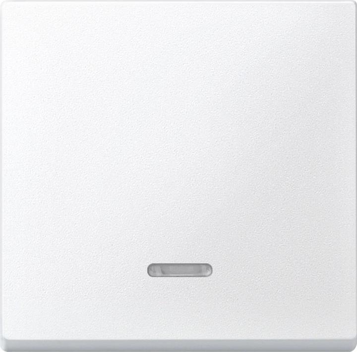 Actual product image Merten Rocker