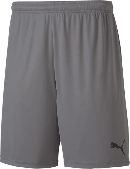 Puma teamGOAL 23 knit Short-704262 (XXL)