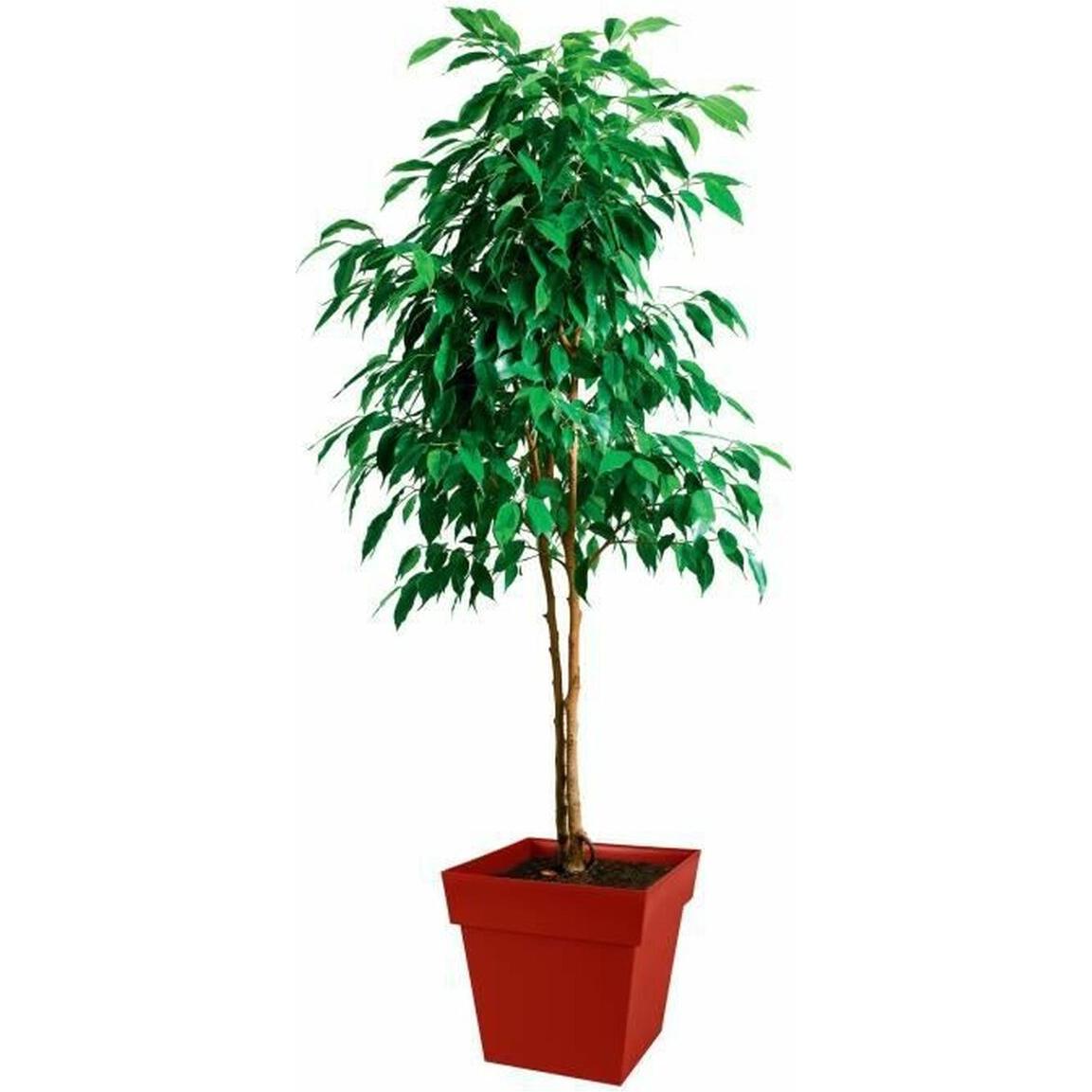 Thumbnail - Weleda, Blumentopf, Blumentopf EDA Kunststoff 39 cm