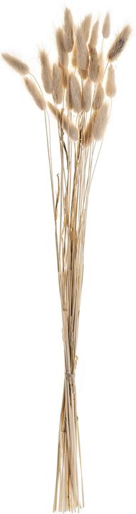 Produktbild EGLO Guipos (60 cm)