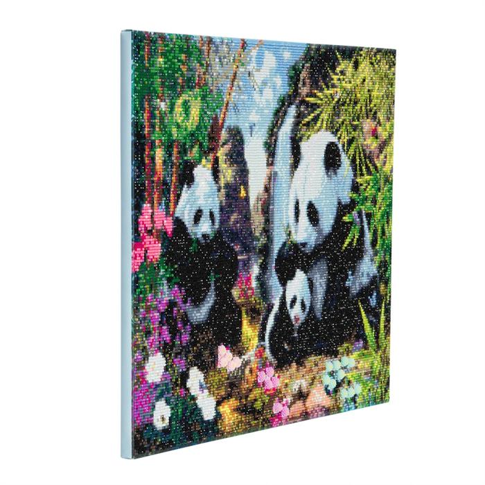 Image du produit Craft Buddy Panda Valley- Crystal Art Kit