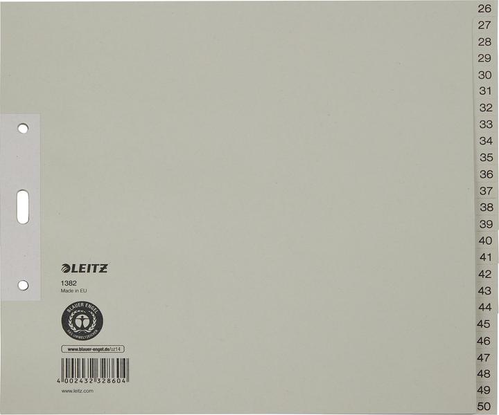 Actual product image Leitz Register Paper