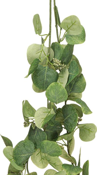 Actual product image Everlands Eukalyptus - Kunstblumen-Girlande - ca. 180 cm (18 cm)