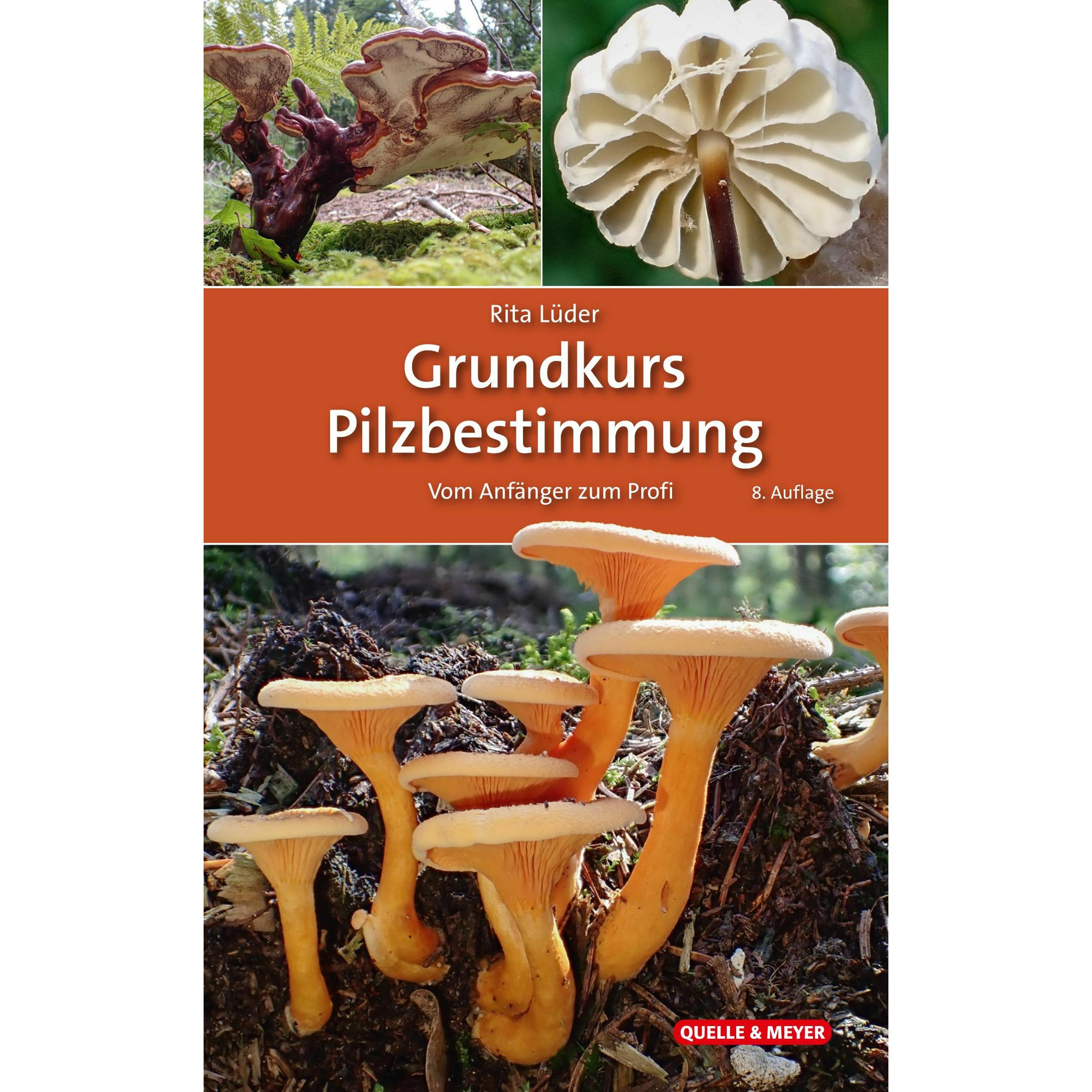 Grundkurs Pilzbestimmung, Ratgeber von Rita Lüder