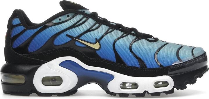 Image du produit Nike Air Max Plus Black White Sail Metallic Cool Grey (GS) (38.5)
