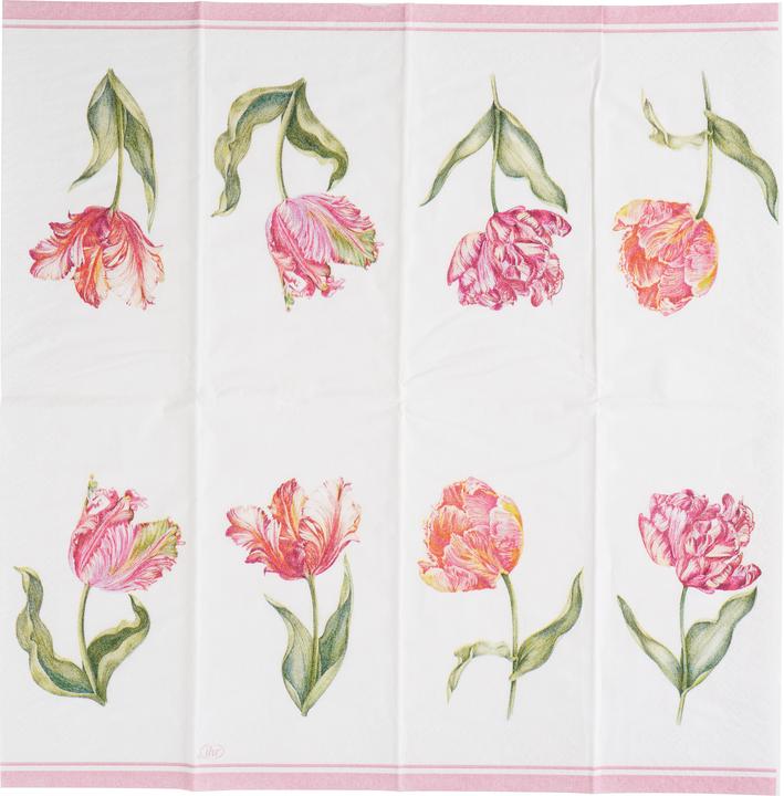 Actual product image IHR Papiertaschentücher "Driselle"