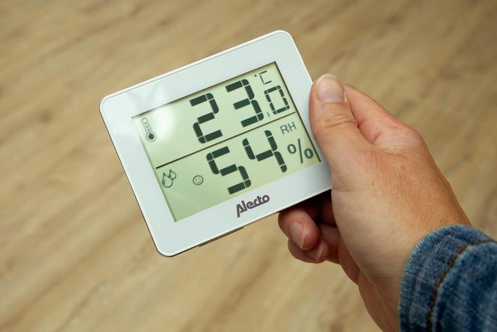 Actual product image Alecto WS-55