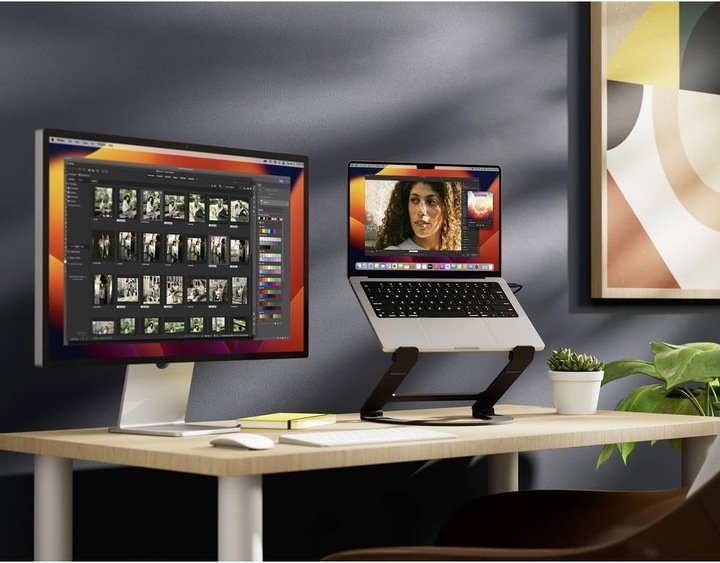Immagine prodotto TwelveSouth Curve Flex