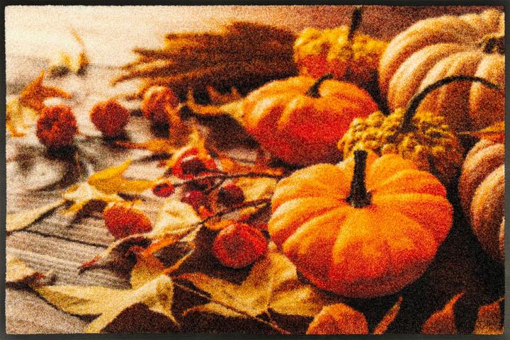 Wash + Dry Fussmatte Pumpkin Glow 50 x 75 cm (50 x 75 cm)