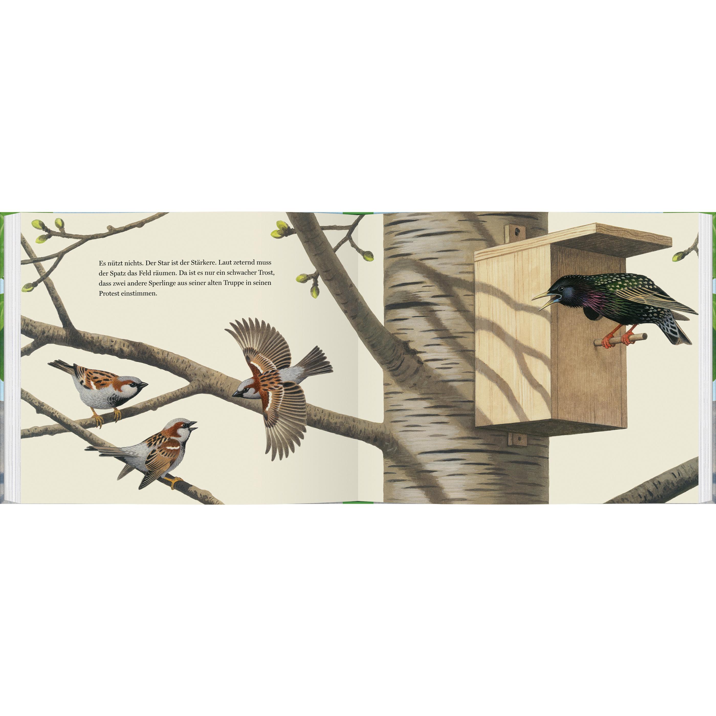 Thumbnail - Ein Jahr mit den Spatzen, Kinderbücher von Thomas Müller