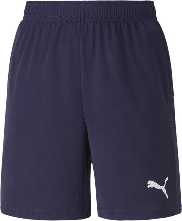 Puma Short en tricot teamGOAL 23 jr-704263 (164)