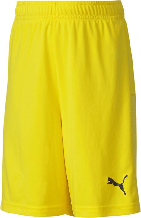 Actual product image Puma teamGOAL 23 knit shorts jr-704263 (128)