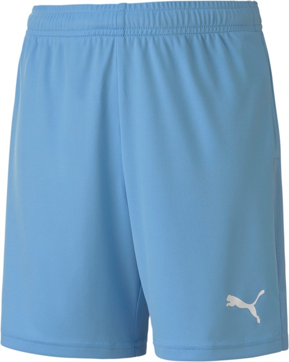 Puma Short en tricot teamGOAL 23 jr-704263