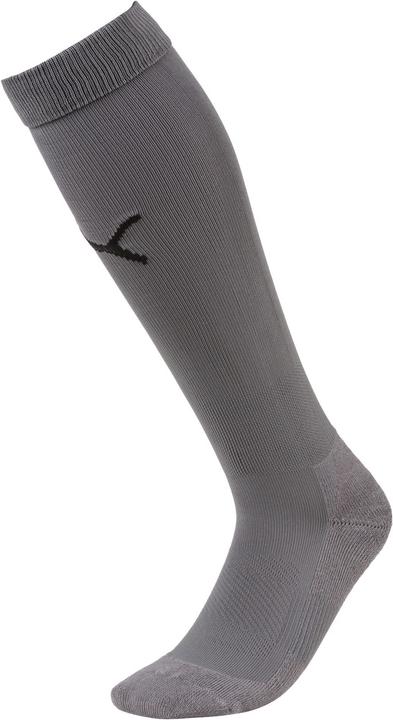 Actual product image Puma Team LIGA Socks CORE-703441 (43, 46)