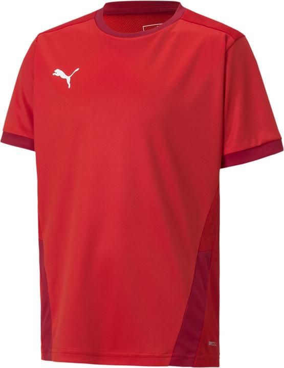 Actual product image Puma teamGOAL 23 Jersey jr-704160 (128)