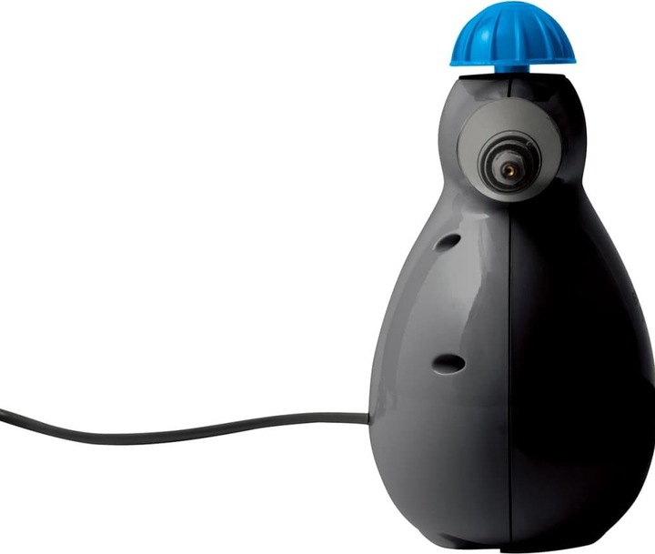 Image du produit Bissell grenaille de vapeur (4.50 bar, 1000 W)