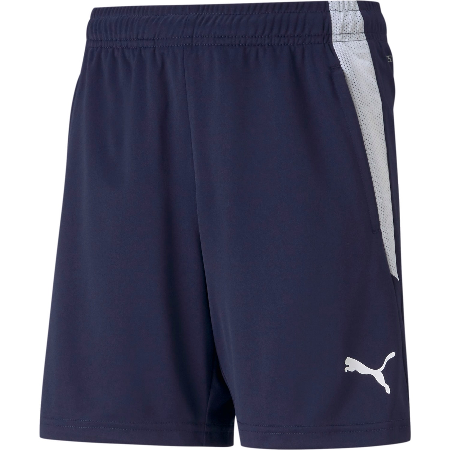 Puma, Unisex, Sporthose, teamLIGA Training Shorts Jr-657250 (164), Blau, 164