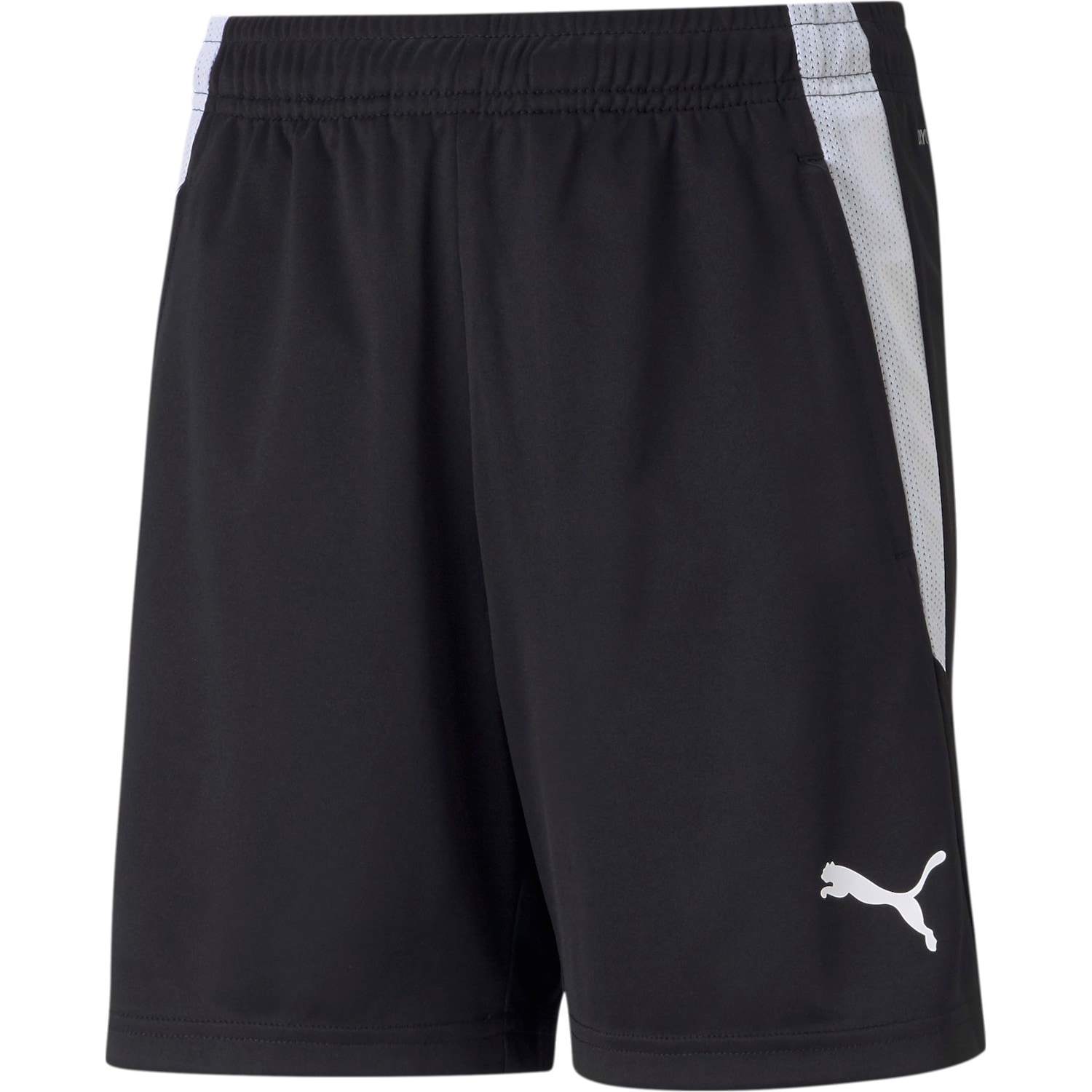 Puma, Unisex, Sporthose, teamLIGA Training Shorts Jr-657250 (116), Schwarz, 116