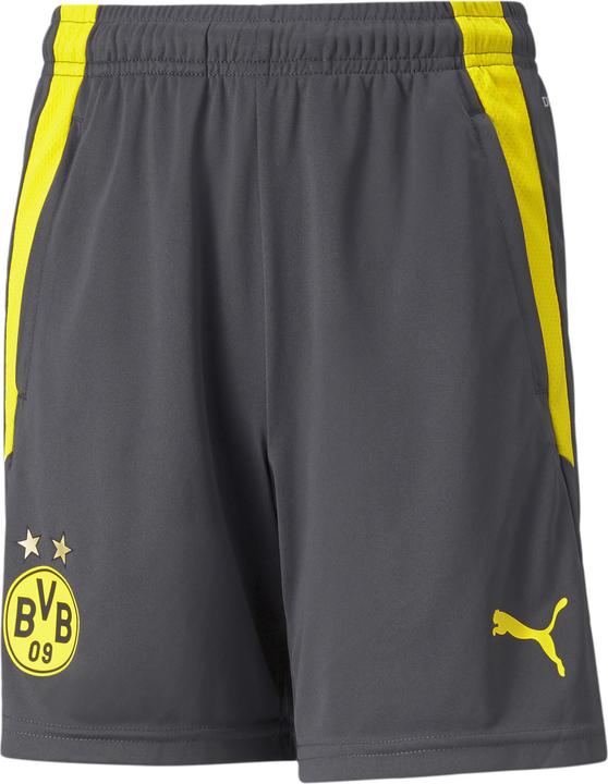 Produktbild Puma BVB Training Shorts Jr-759144