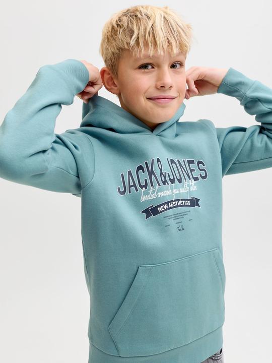 Produktbild Jack & Jones JJELOGO SWEAT HOOD 2 COL 25/26 NOOS JNR (128)