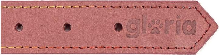 Image du produit Gloria Collier pour chien Oasis Rose 70 cm (70 x 3 cm) (ABS)