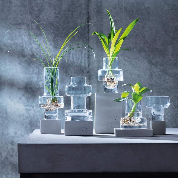 Immagine prodotto LSA Metropole Mini Vasi Set di 5 (5x)