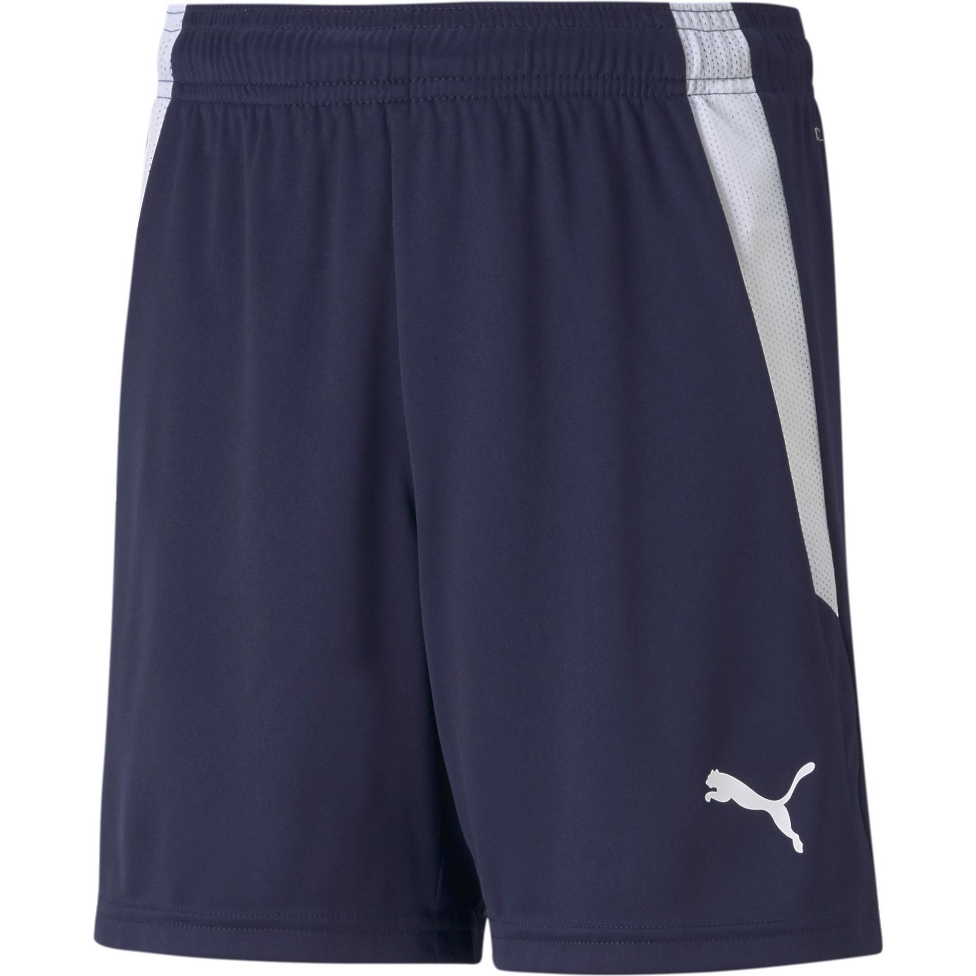 Puma, Herren, Sporthose, teamLIGA Shorts Jr-704931 (152), Blau, 152