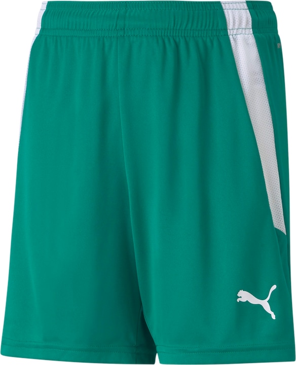 Actual product image Puma teamLIGA Shorts Jr-704931 (128)