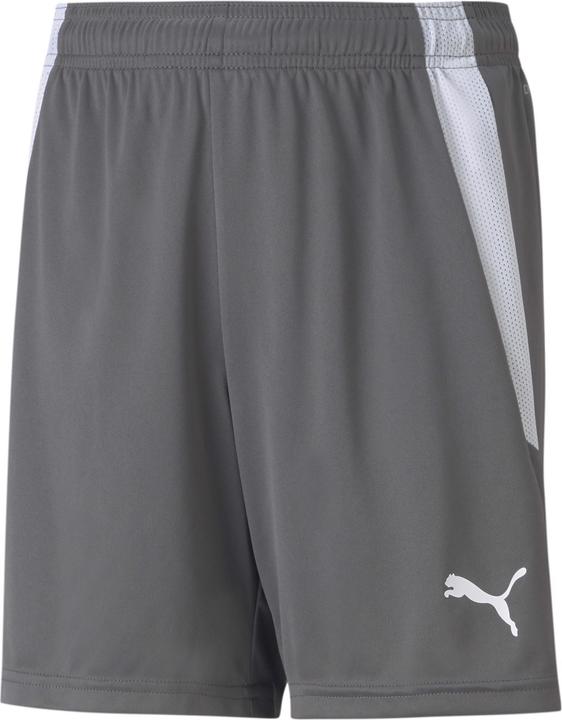 Image du produit Puma short teamLIGA Jr-704931 (164)