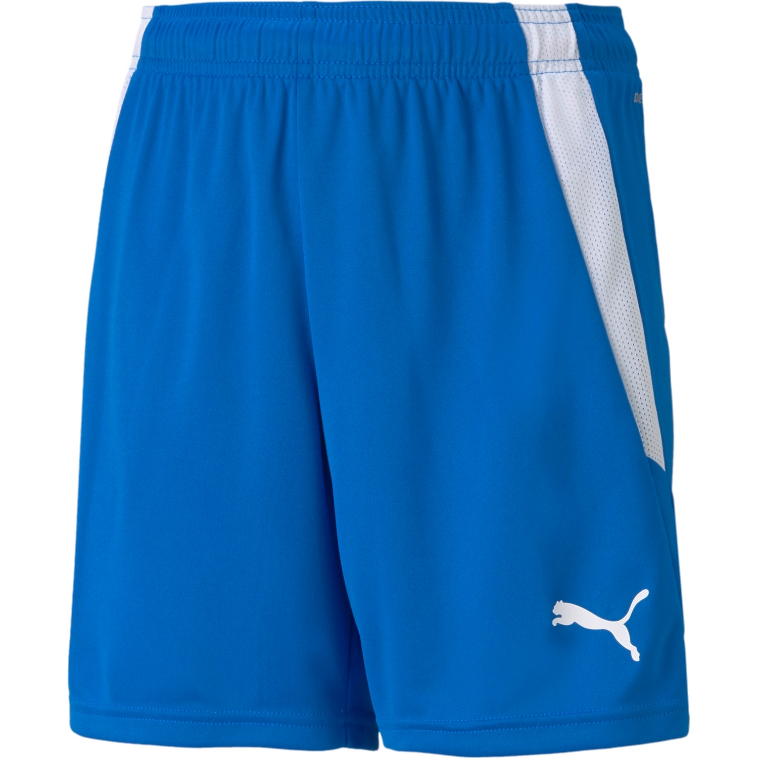 Puma, Jungen, Sporthose, teamLIGA Shorts Jr-704931 (176), Blau, 176