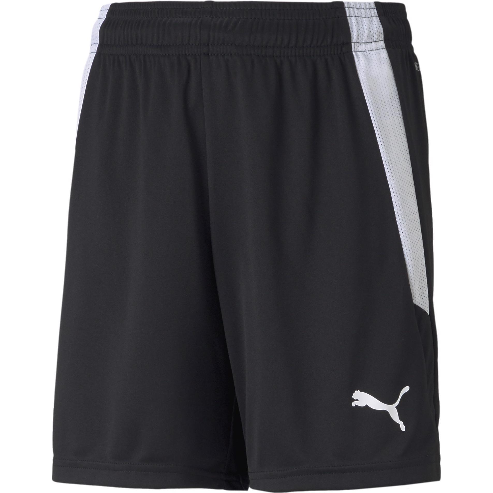 Puma, Herren, Sporthose, teamLIGA Shorts Jr-704931 (164), Schwarz, 164