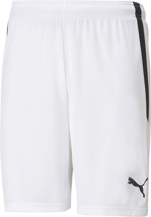 Actual product image Puma teamLIGA Shorts-704924 (M)