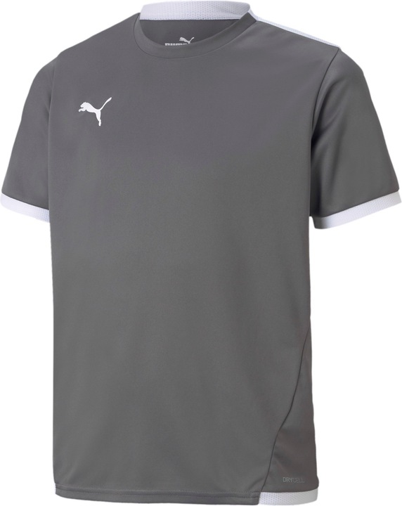 Image du produit Puma Maillot teamLIGA Jr-704925 (116)