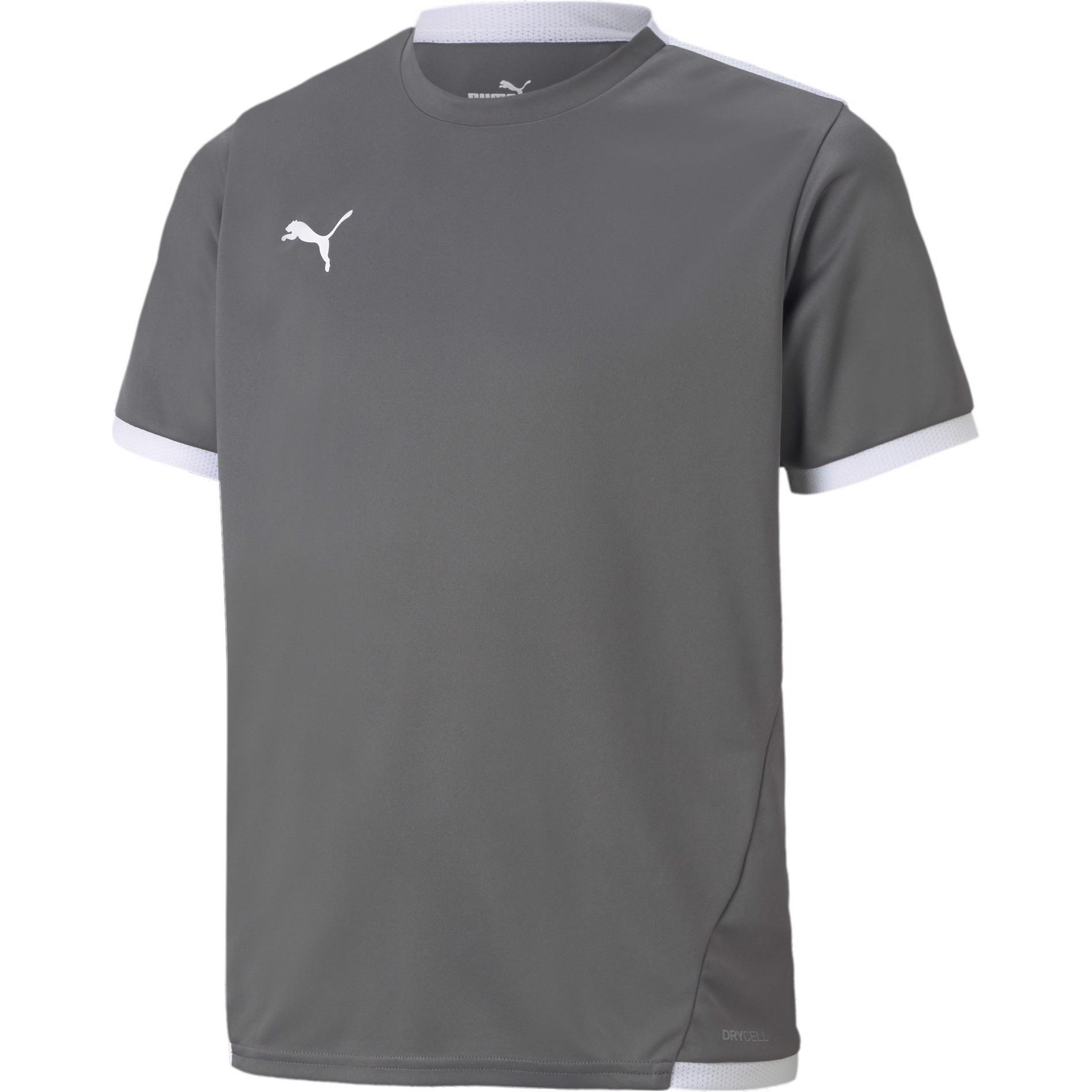 Puma, Herren, Sportshirt, teamLIGA Jersey Jr-704925 (176), Grau, 176