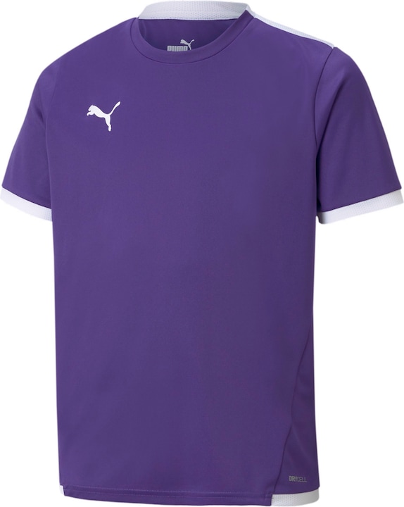 Actual product image Puma teamLIGA Jersey Jr-704925 (116)