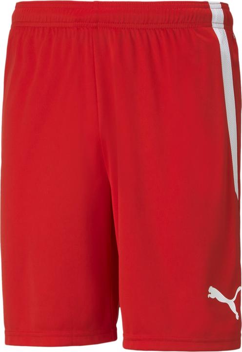 Actual product image Puma teamLIGA Shorts-704924 (XL)