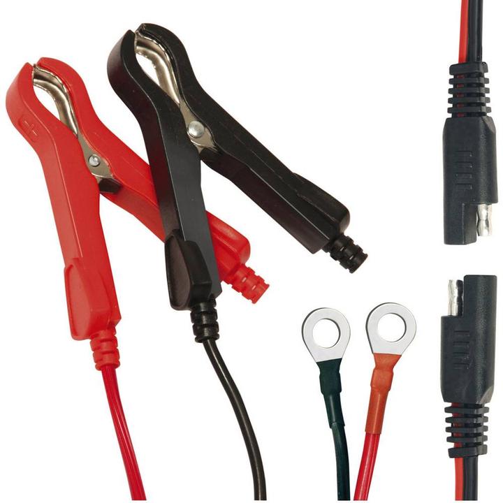 Immagine prodotto Dino Caricabatterie (12V, 6V, 3.80 A)