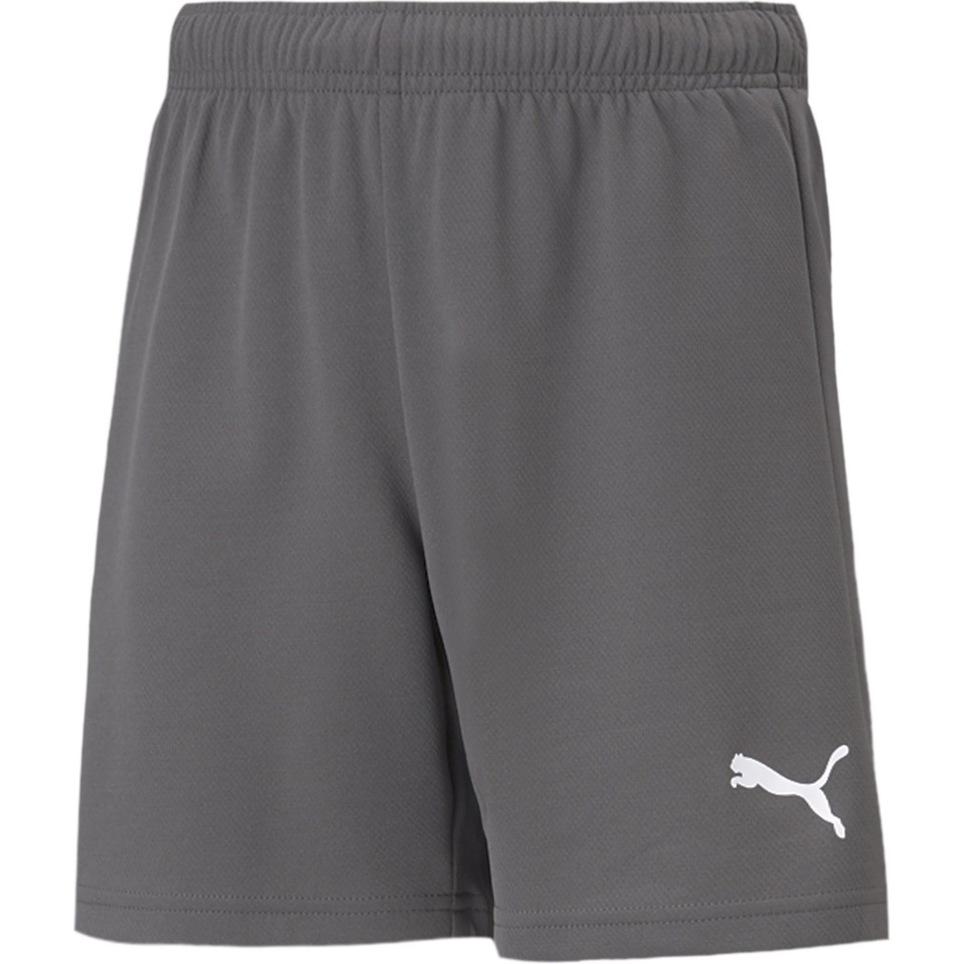 Puma, Jungen, Sporthose, teamRISE Short Jr-704943 (140), Grau, 140