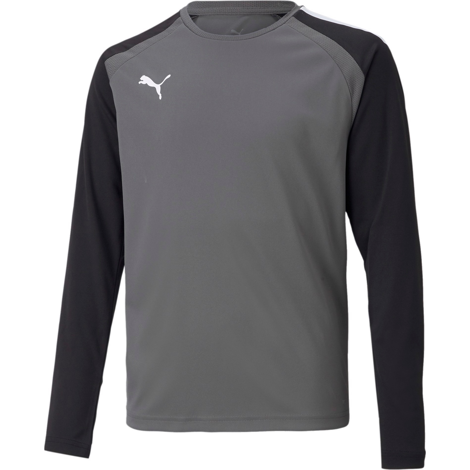 Puma, Unisex, Sportshirt, teamPACER GK LS Jersey Jr-704939 (116), Grau, 116