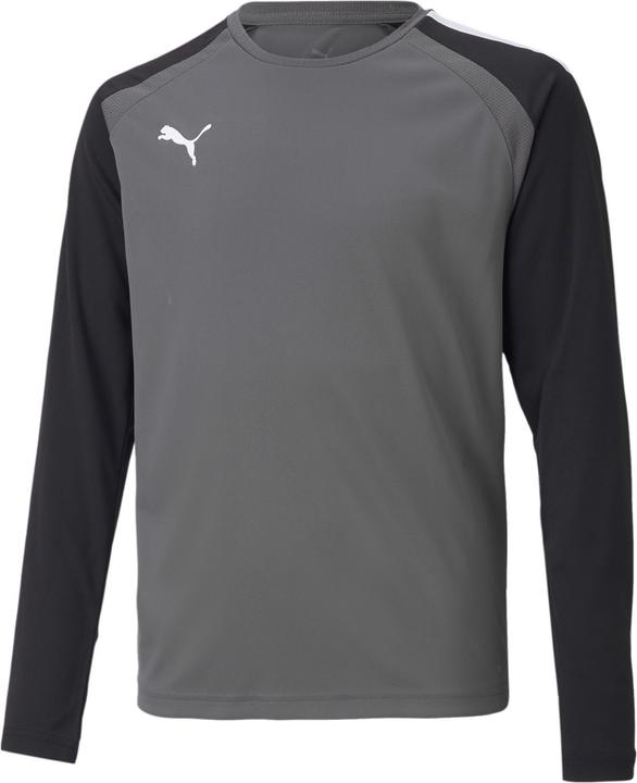 Actual product image Puma teamPACER GK LS Jersey Jr-704939 (176)