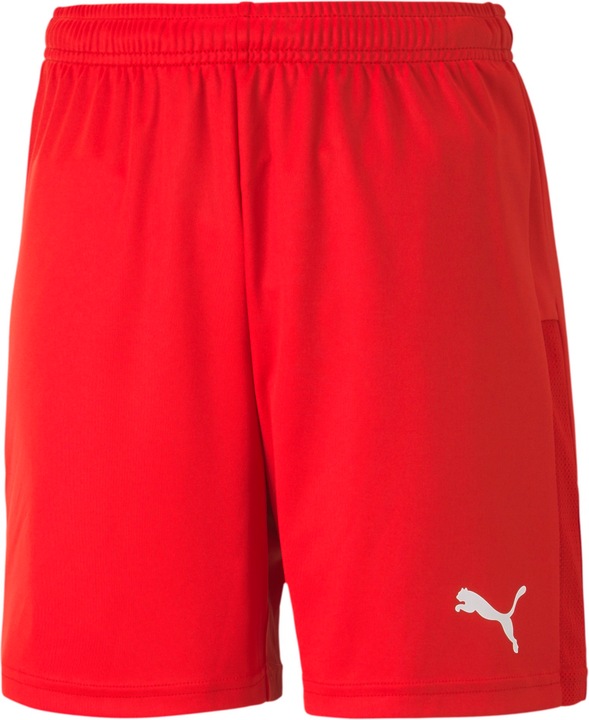 Image du produit Puma Short en tricot teamGOAL 23 jr-704263 (128)