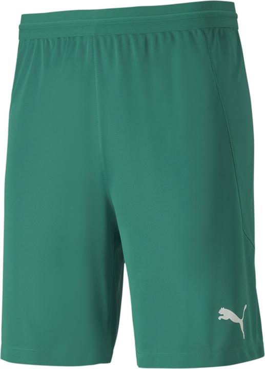 Puma teamFINAL 21 knit Shorts-704257
