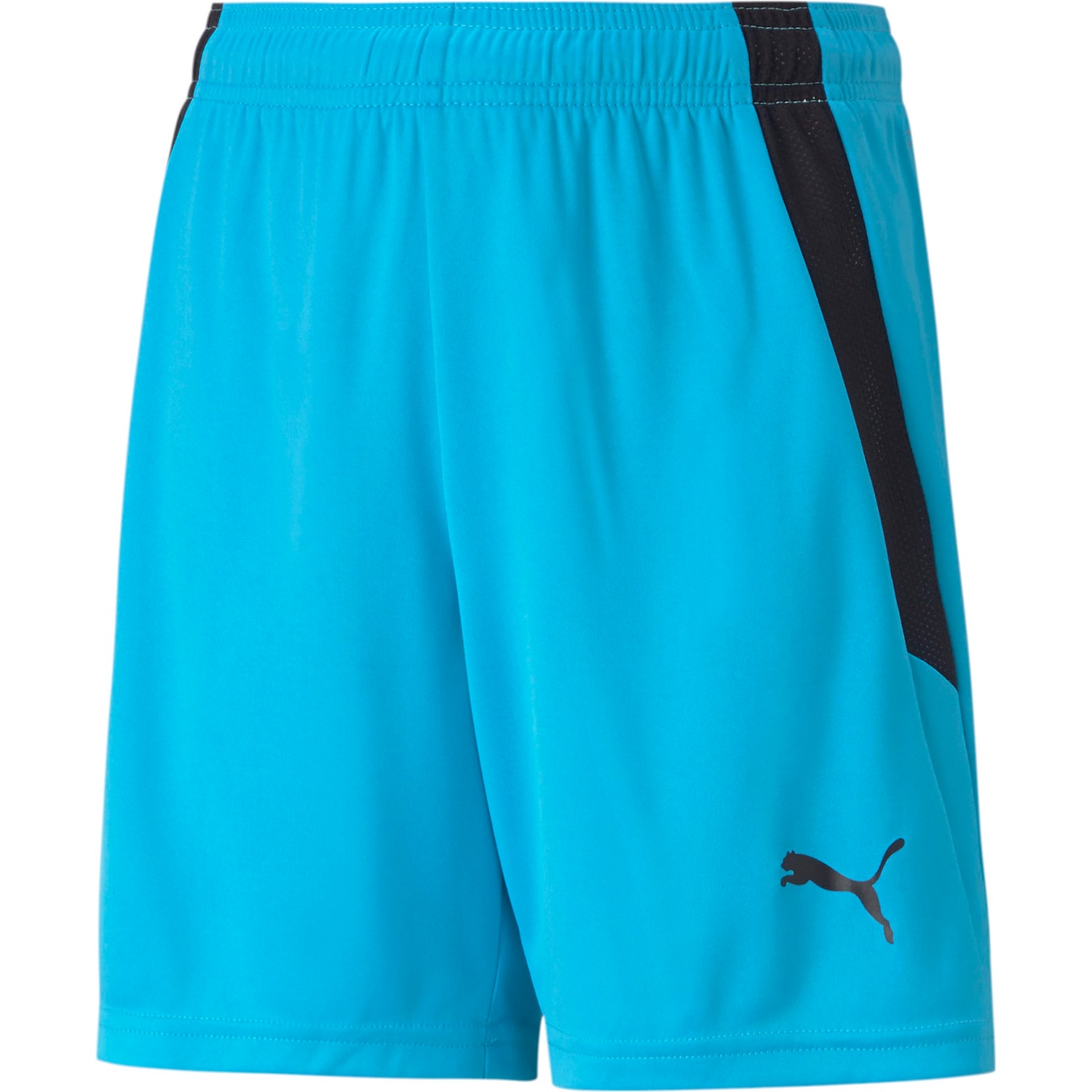 Puma, Damen, Sporthose, teamLIGA Shorts Jr-704931 (164), Blau, 164