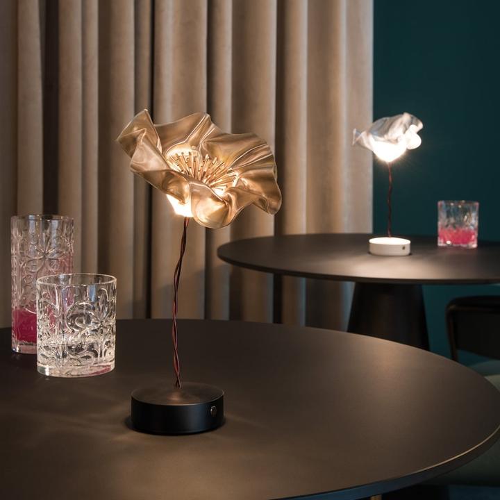 Image du produit Slamp Lafleur (150 lm)